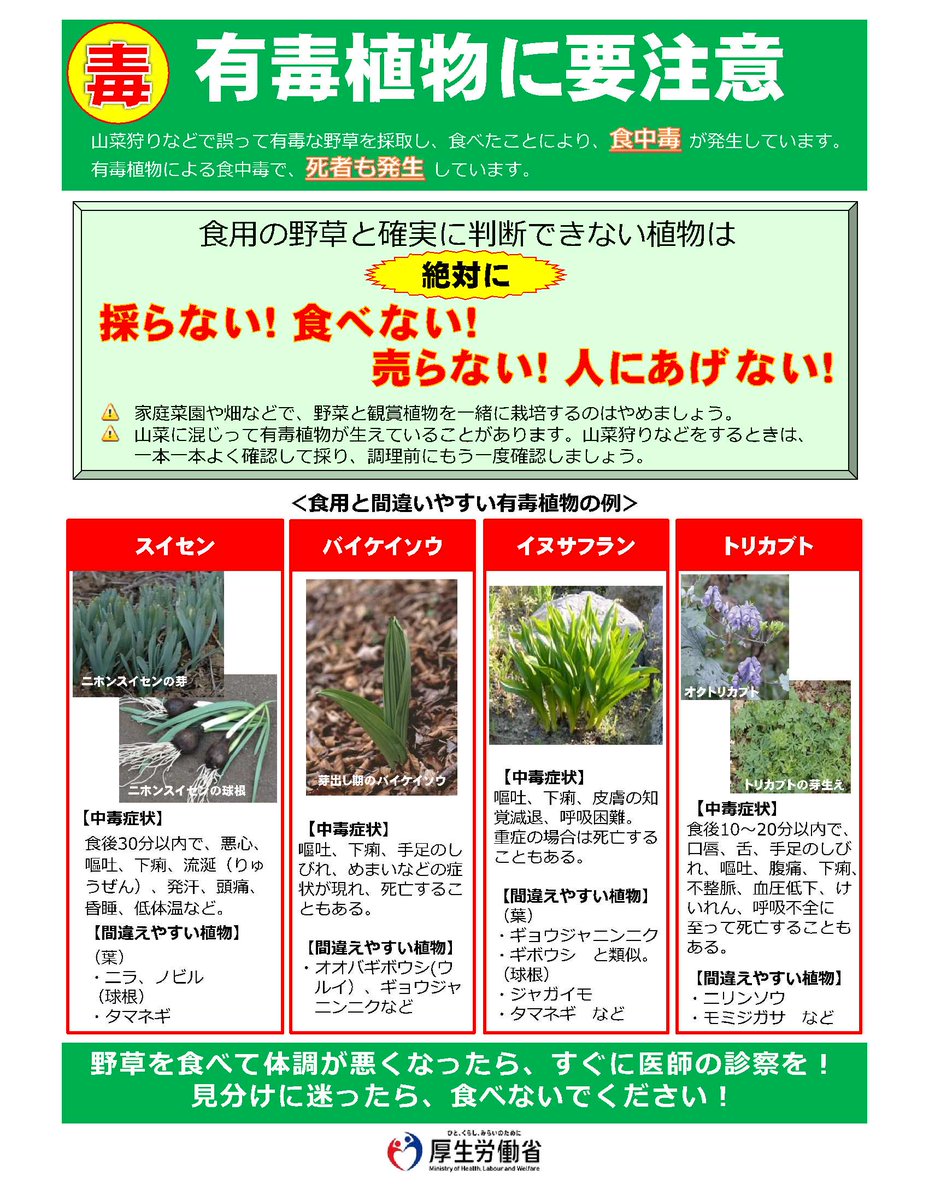 福山市の注意喚起文脈で共有されている有毒植物と食用植物の誤認リスクを示す資料画像