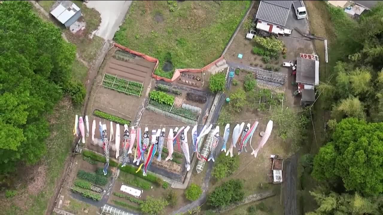 広島県福山市新市町の里山に、色とりどりのこいのぼりが連なり青空を泳ぐ様子。約40mのワイヤに大小20匹が並ぶ常地区の風景で、住民有志が10年前から復活させた春の風物詩を象徴。里山の緑とコントラストがのどかな地域の日常を描く。