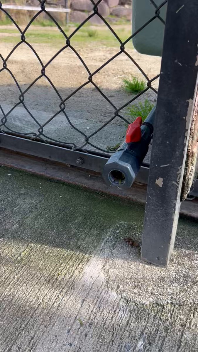 福山市立動物園（タカオ福山動物園）公式Xアカウントが2026年5月11日に投稿した動画の公式サムネイル。排水管付近で休む両生類「けろっぴ」と飼育員の朝のやりとりが写るフレーム。