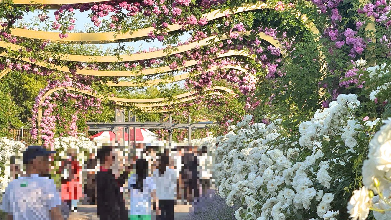 福山駅前地下道の手しごと市で来場者が商品を見る様子。にぎわいの様子（号外NET掲載・2026年5月）