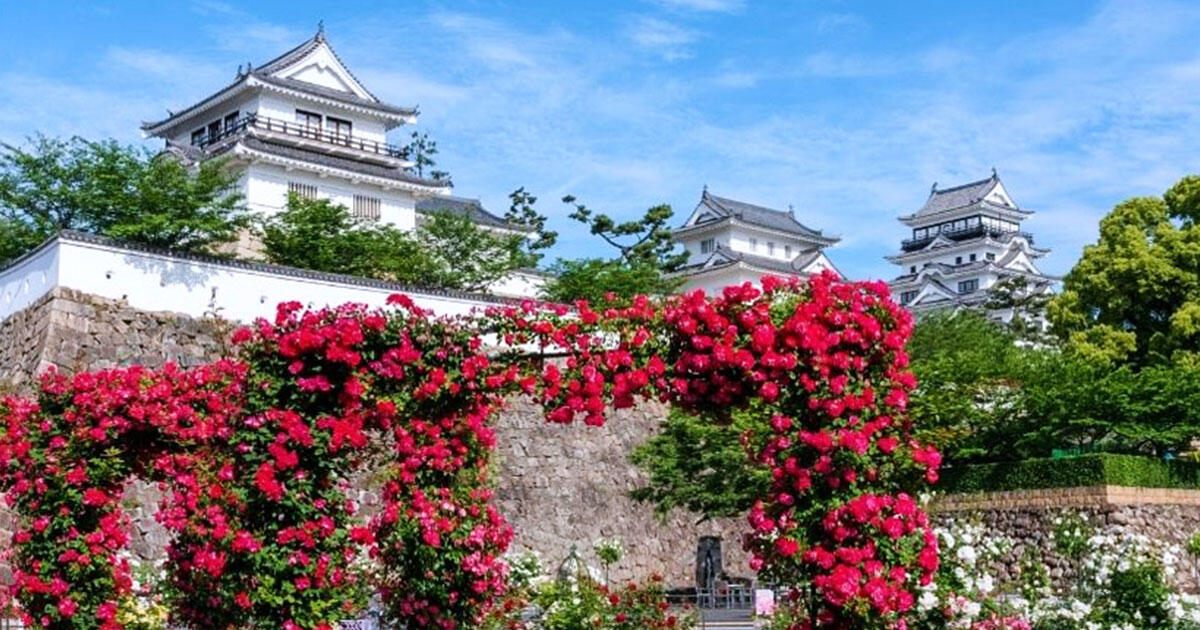第20回世界バラ会議福山大会（2025年）に関する日本政府観光局（JNTO）の紹介用ビジュアル。